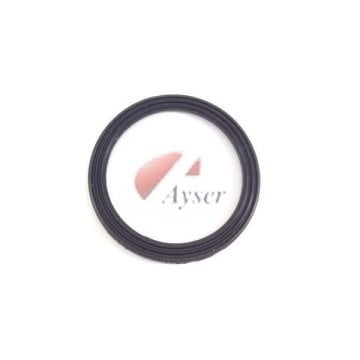 Kenwood Pro Smoothie Blender Bıçak Contası