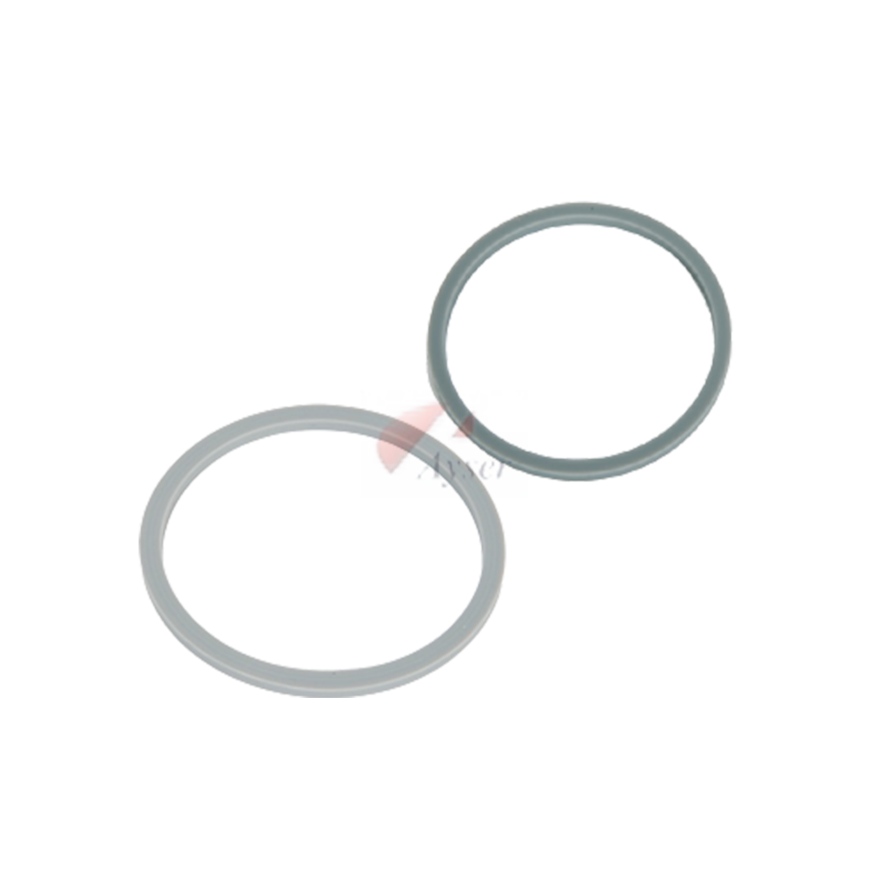 Tefal BL1A0 Blender Bıçak ve Kapak Contaları